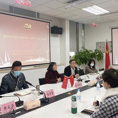 港腾公司党支部进出口公司党支部传达学习党的十九届六中全会精神